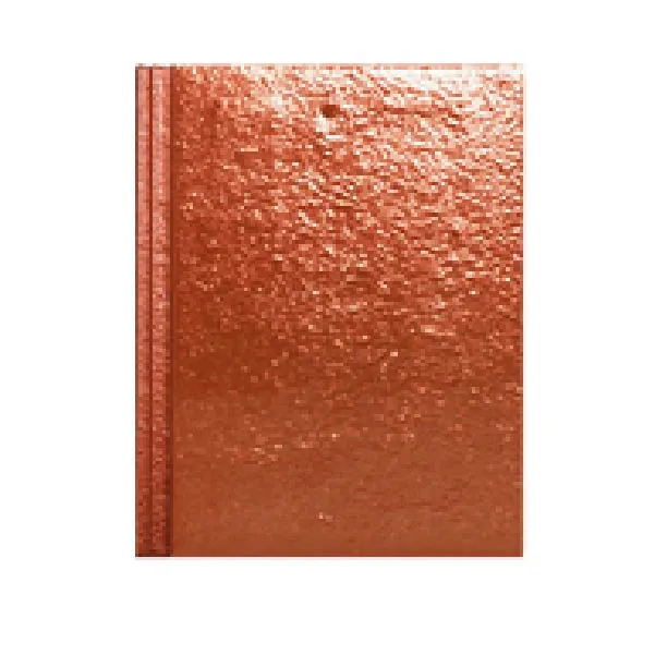 concrete roof tiles oran condo15