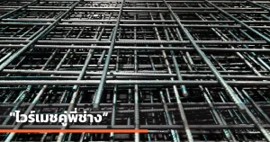 ไวร์เมช คู่พี่ช่าง